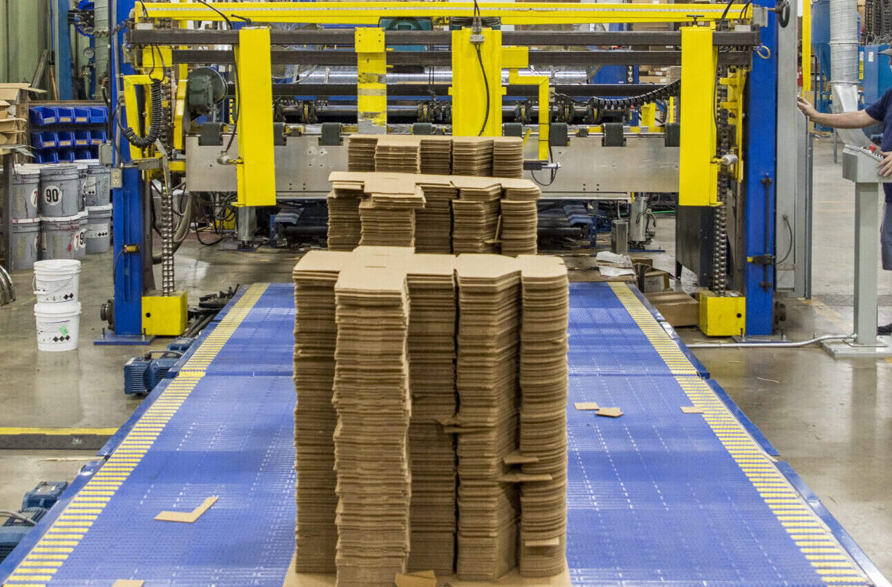 die-cut-line